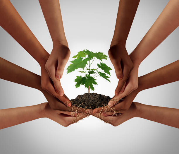 Social community cooperation concept and group crowdfunding investment symbol as a team of diverse hands nurturing a sapling tree with roots wrapped and connecting the people together i a 3D illustration style.